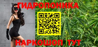 прущие грибы Коммунар
