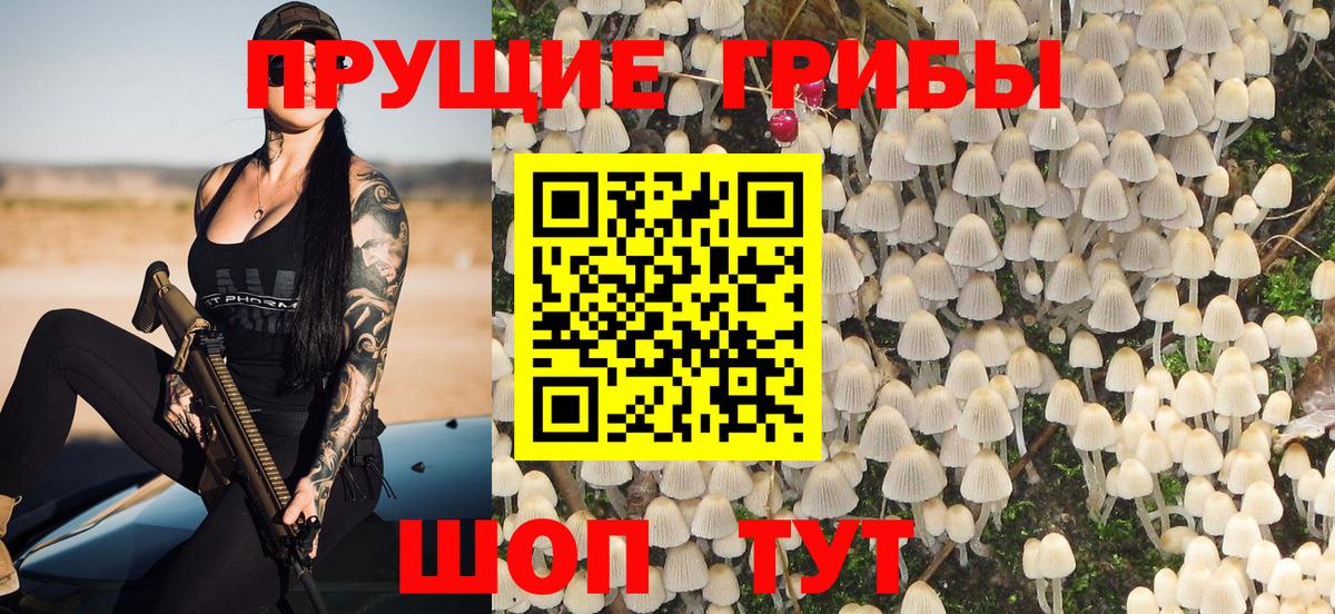 Псилоцибиновые грибы GOLDEN TEACHER  Вход с VPN  Киселёвск  Галлюциногенные грибы MAGIC MUSHROOMS 