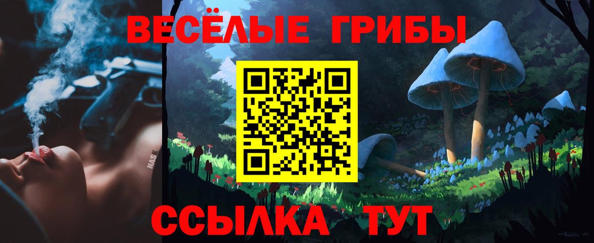 Псилоцибиновые грибы ЛСД Киселёвск